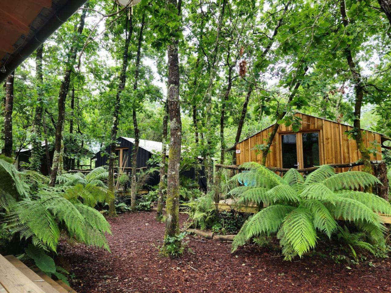 Camping Aux Couleurs Du Ferret Lège-Cap-Ferret Екстериор снимка